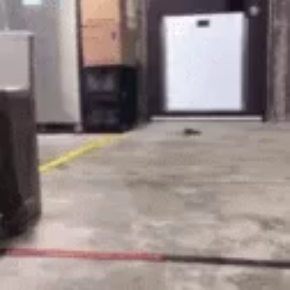 a person is standing on a concrete floor in a room next to a refrigerator .