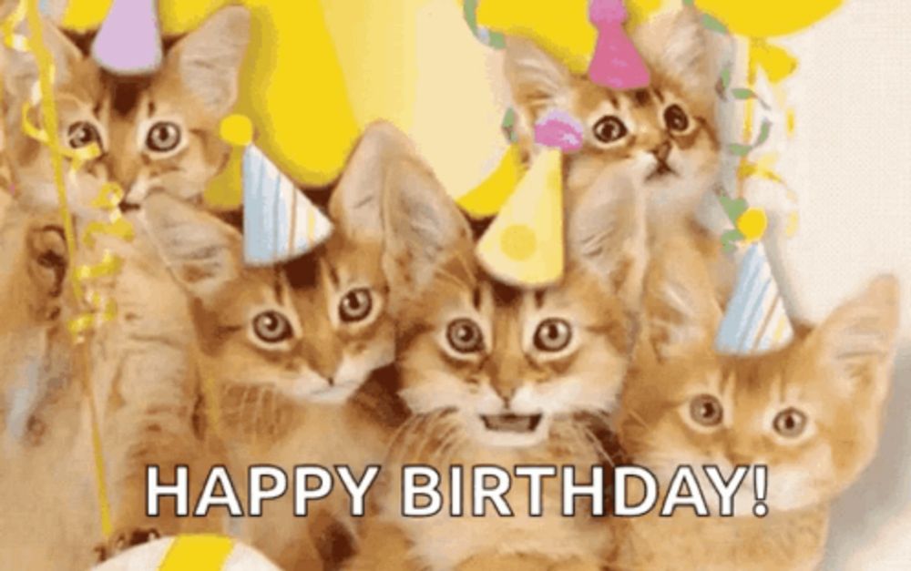 a group of kittens wearing party hats with the words happy birthday !