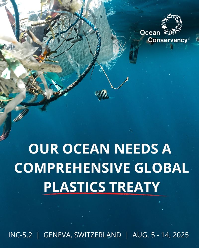 INC global plastics treaty social graphic