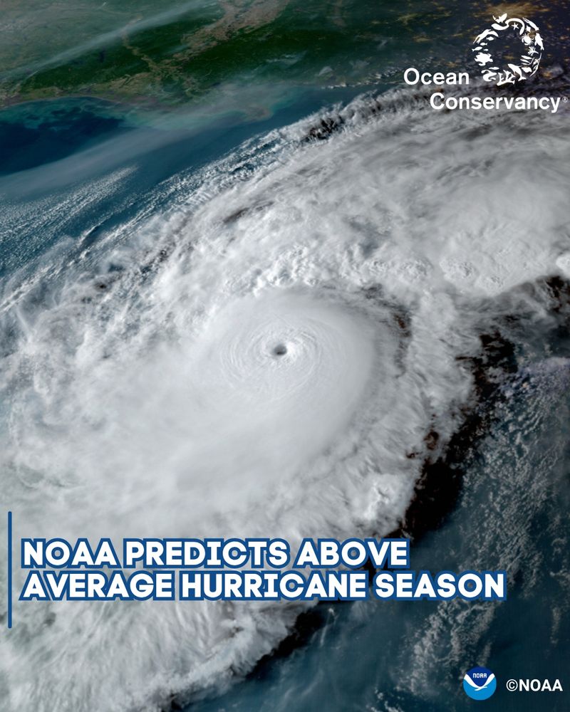 Graphic with hurricane highlighting NOAA's above average hurricane season