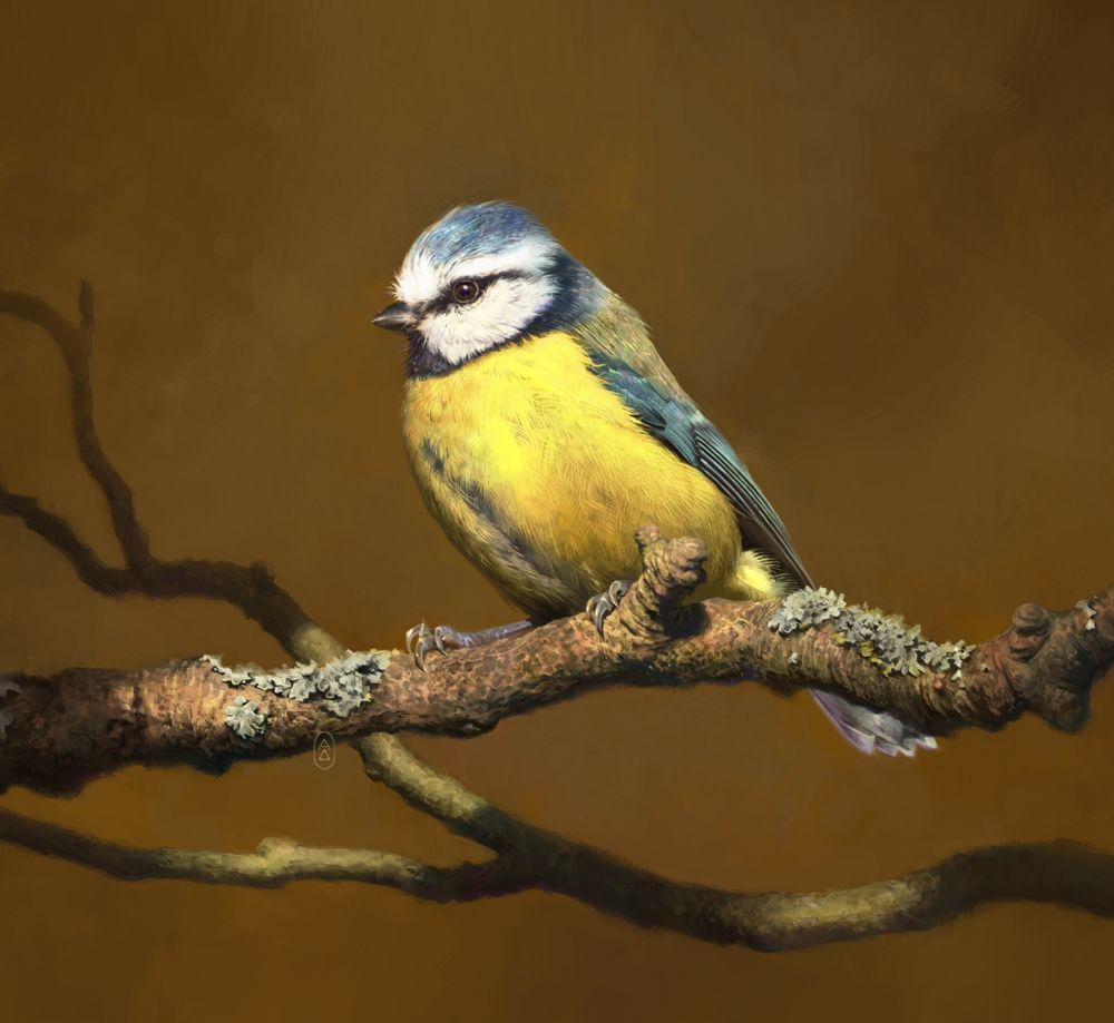 digital painting of a blue tit