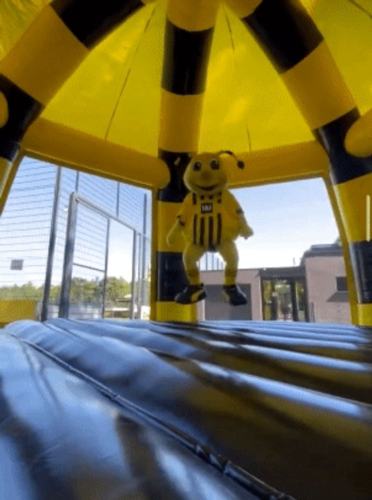 a stuffed animal wearing a yellow and black uniform with the letter l on it