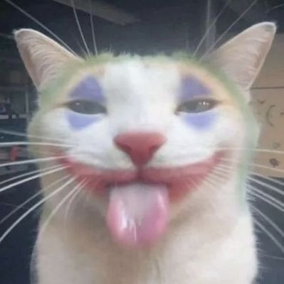 Comment image