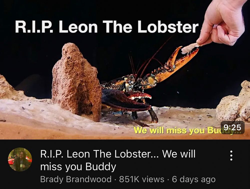 R.I.P. Leon the lobster