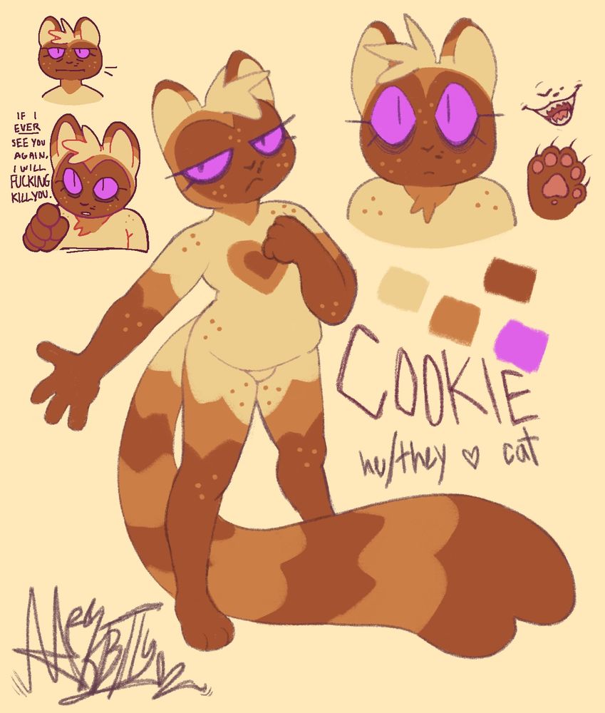A reference sheet of a tan and brown siamese cat named Cookie. They have heart shaped patterns on their body and purple eyes. Their body is midsize and covered in little spots. He uses he they pronouns.