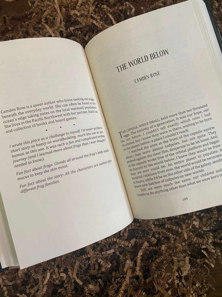 First page of “The World Below”