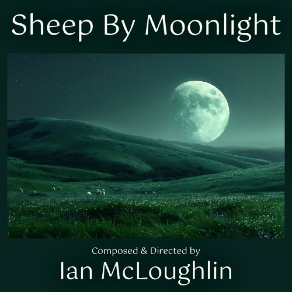 Sheep By Moonlight