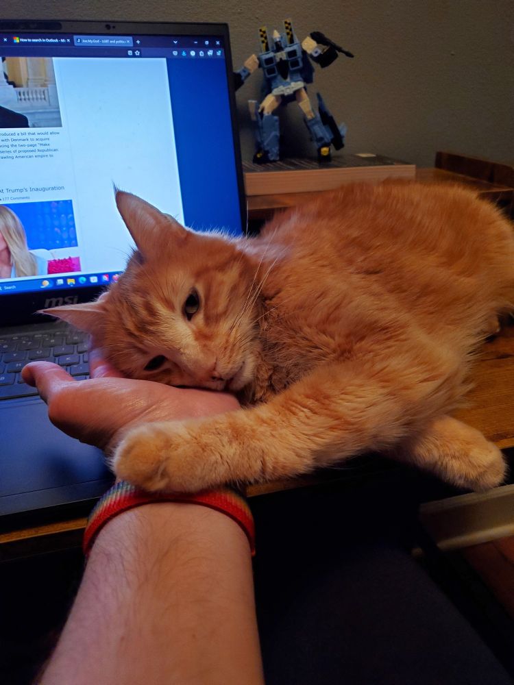 Orange cat lying on my laptop keyboard with head on my hand, his paw outstretched and placed on my wrist. Blue transformer in background.