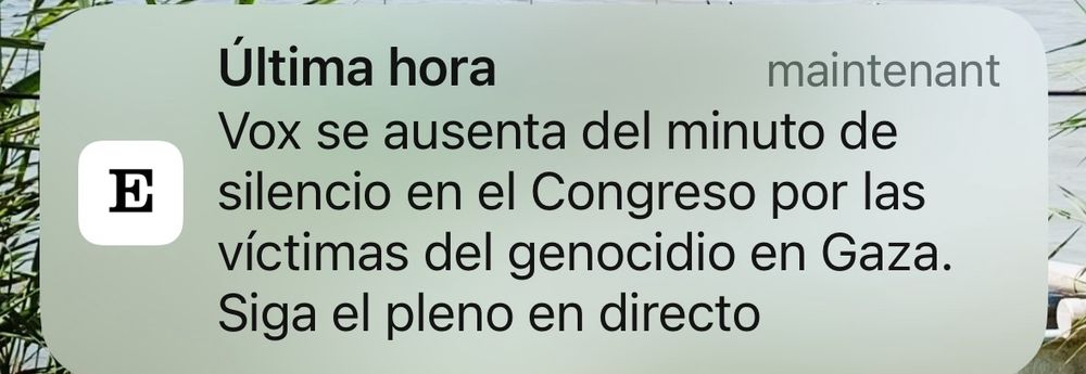 Vox s’absente su parlement pendant la minute de silence en l’honneur et la mémoire des victimes du genocide à Gaza