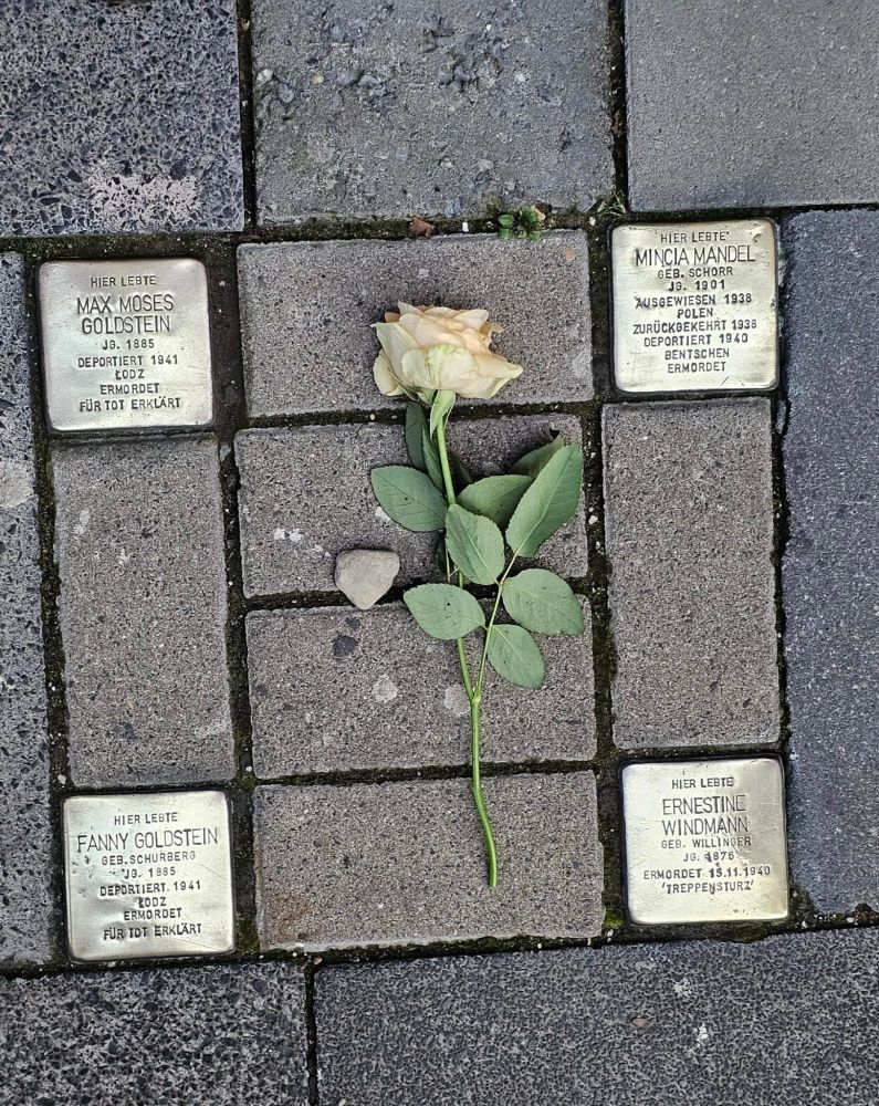 Vier Stolpersteine mit einer Rose und einem Stein, die Namen und Geschichten stehen im Text und den Kommentaren 