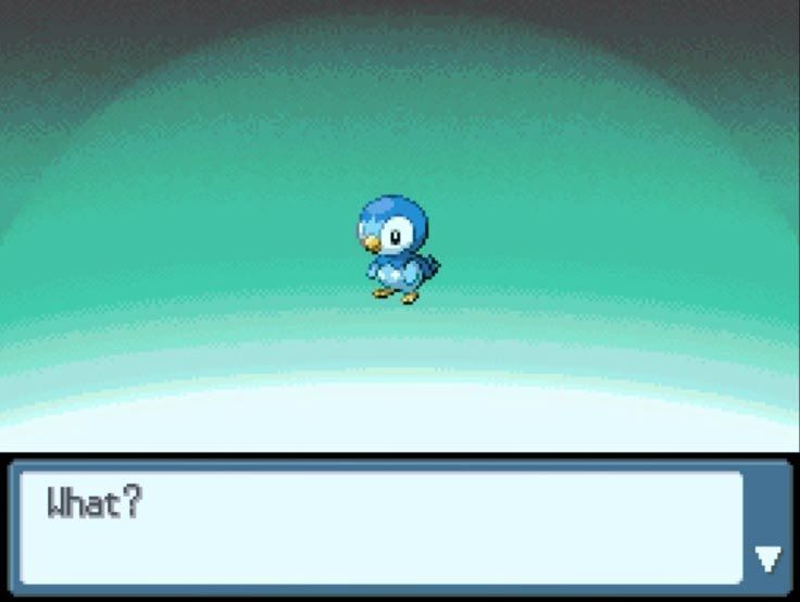 captura de tela de evolução do Piplup em Pokémon DPPt dizendo "What?". 