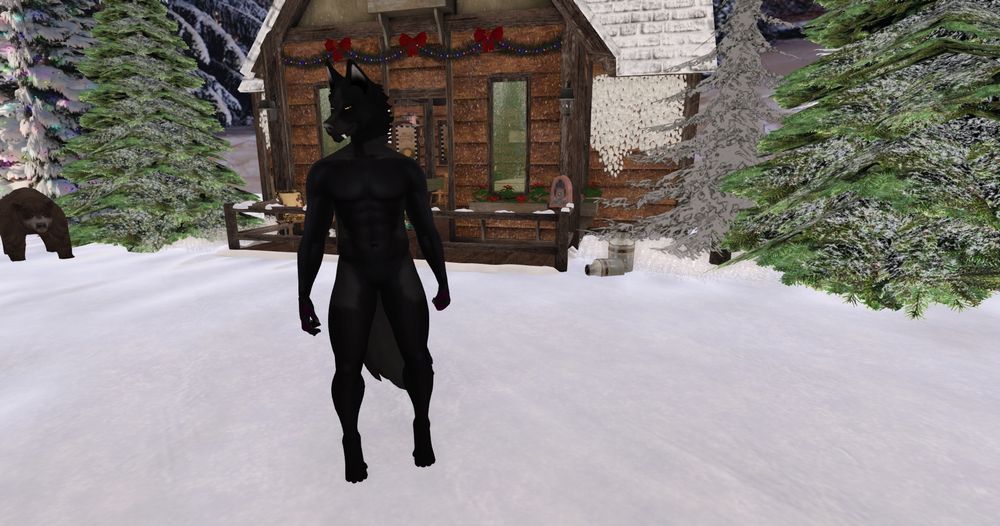 Hot male black wolf furry looking  at you while in Christmas land