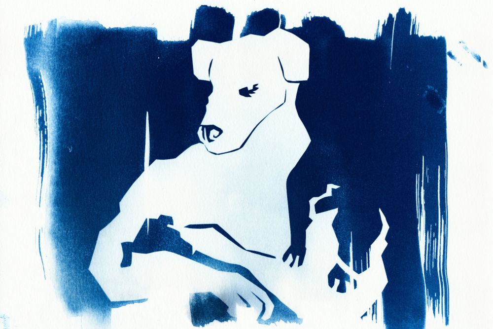 a cyanotype print of a large canine figure holding two other, smaller dogs. they're glaring at the viewer somewhat menacingly