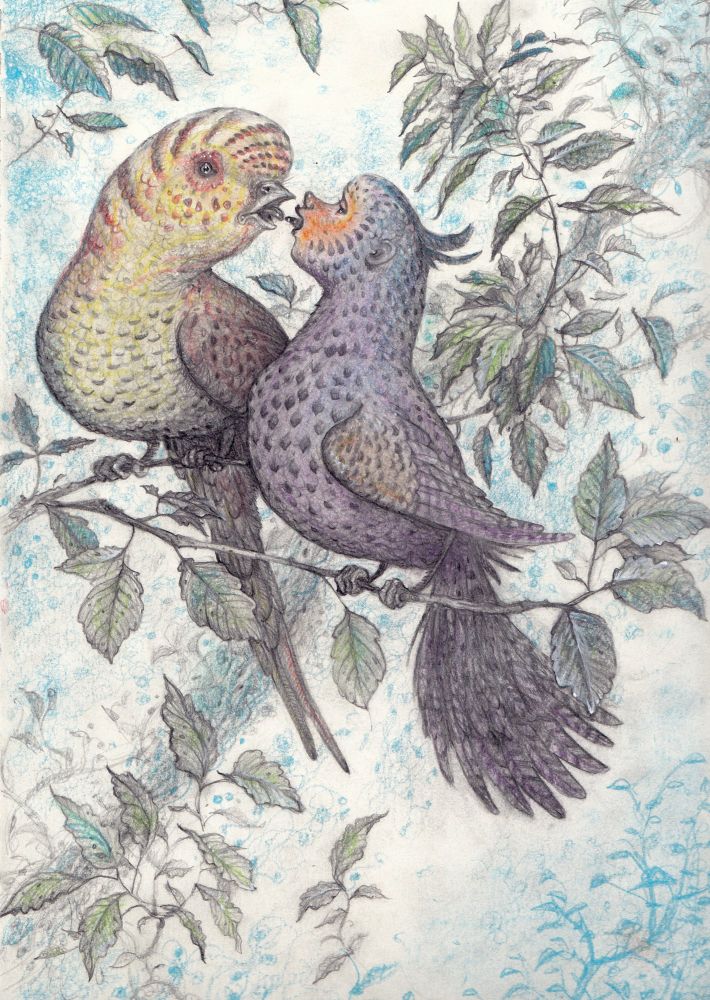Very loving couple of birds kissing in a tree