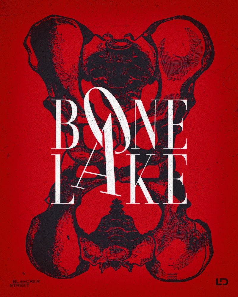 Poster design for the film “Bone Lake” that features medical illustrations of two pelvic bones phasing into each other