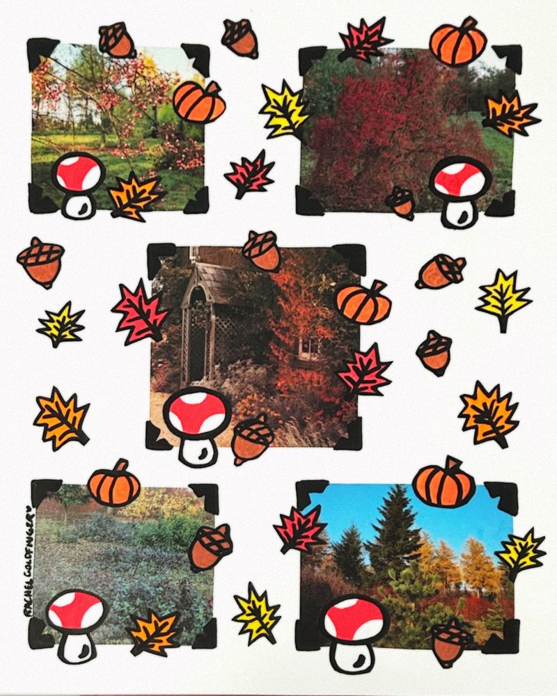 A handmade collage using images of fall foliage overlayed with cutout drawings of mushrooms, acorns, and maple leaves