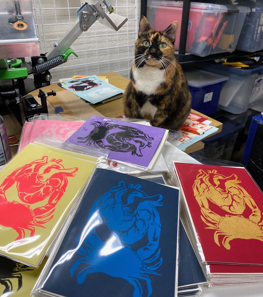 Cookies the cat hanging out with me as I package up the screen printed cards for the upcoming valentines market