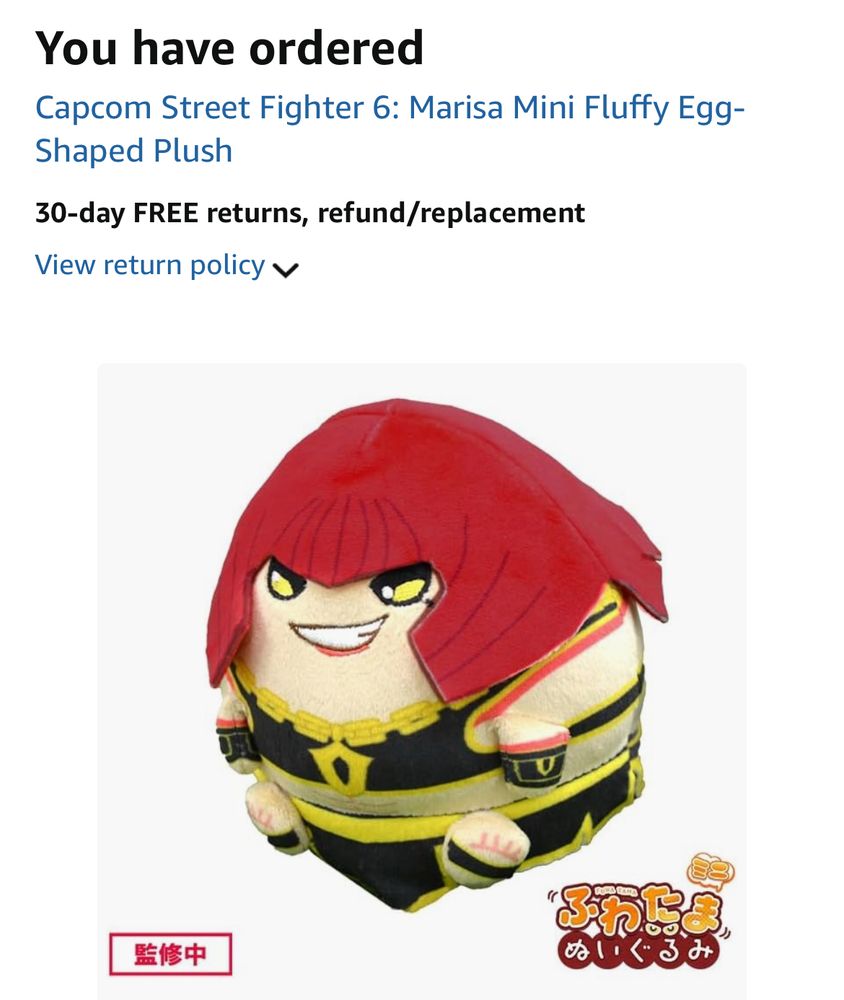 YOU HAVE ORDERED Japanese Marisa egg plush