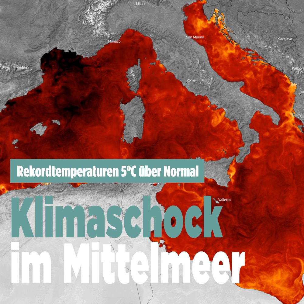 Schlagzeile:

»Rekordtemperaturen 5°C über normal.«

»Klimaschock im Mittelmeer«