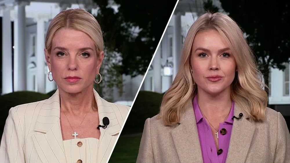 A set of blonde nazi twins.