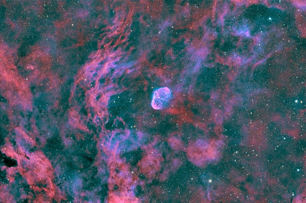 A vivid image of the Crescent Nebula (NGC 6888) in deep space, surrounded by swirling clouds of red, pink, and purple interstellar gas against a dark starry background. The nebula appears as a bright, glowing, shell-like structure near the center-right, with filamentary textures and intricate patterns of light.