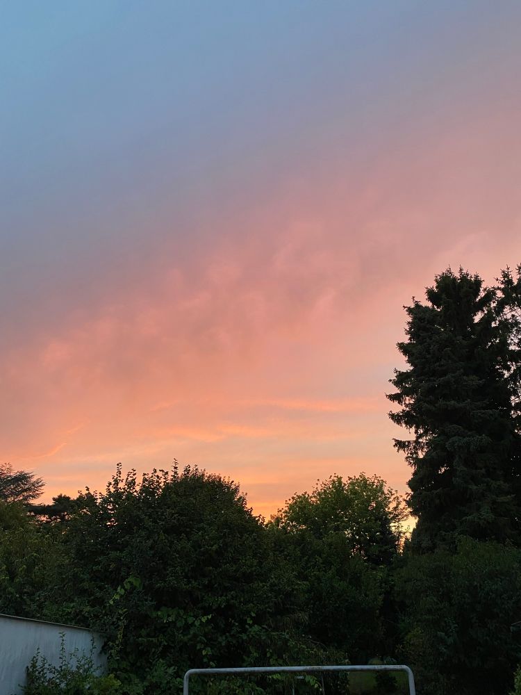 Abendrot über Baumsilhouetten. Im Vordergrund der obere Zeil einer Teppichstange.