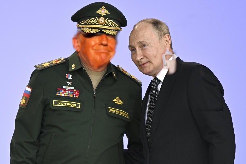 Comment image