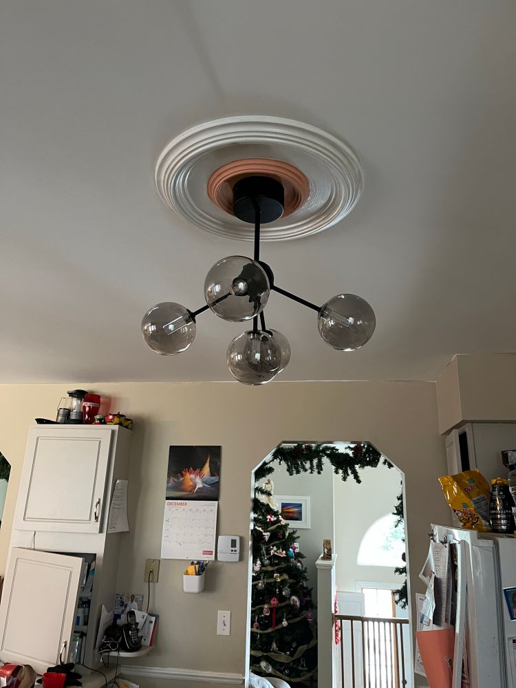 Beautiful new black ceiling light fixture with 5 globes