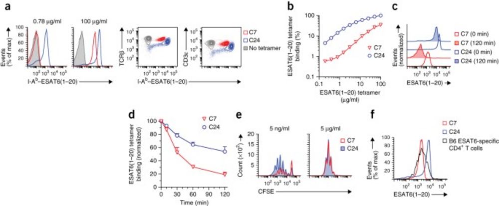 Control of T cell antigen reactivity via programmed TCR downregulation - Nature Immunology