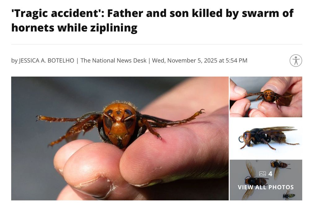 "Tragic accident': Father and son killed by swarm of hornets while ziplining
by JESSICA A. BOTELHO | The National News Desk | Wed, November 5, 2025 at 5:54 PM