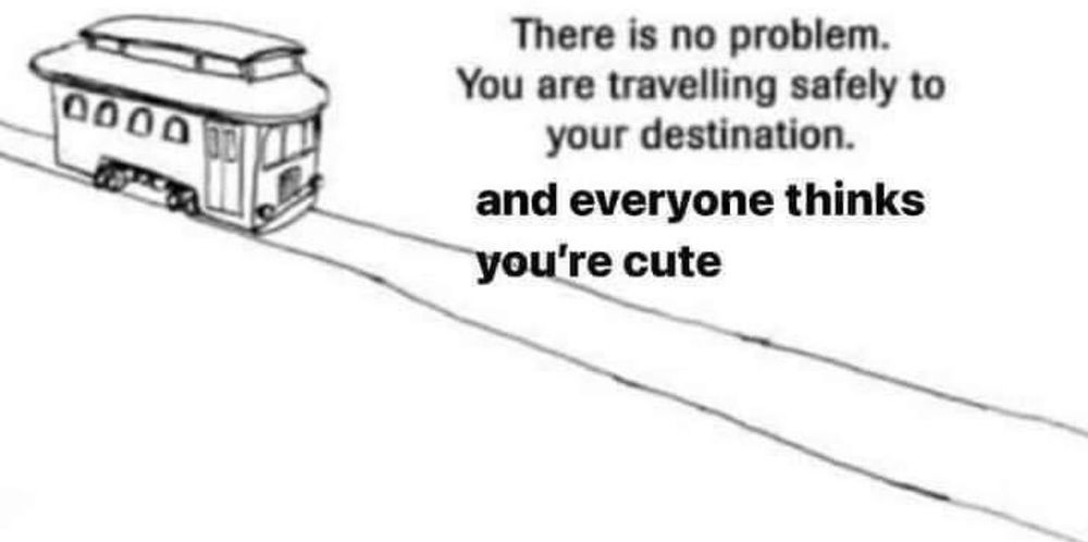 Trolley problem meme format but there is no problem you are travelling safely to your destination and everyone thinks you're cute (they're right 😘)