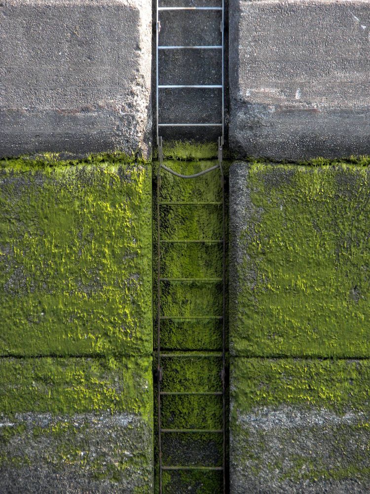 Seattle Locks