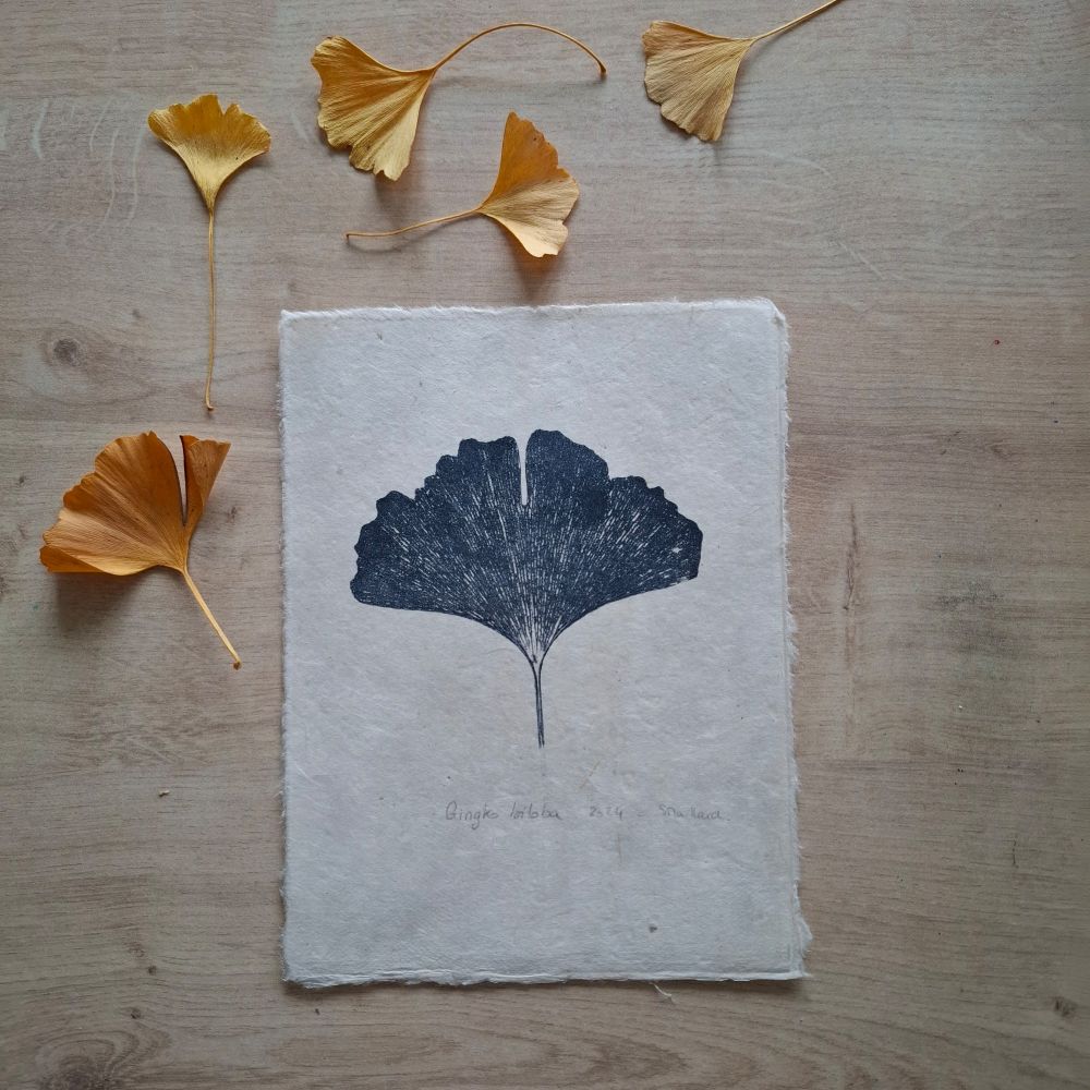 Estampe végétale d'une feuilles de ginkgo, imprimée en bleu gris. À côté de l'estampe de vrai feuilles de ginkgo de couleur jaune 