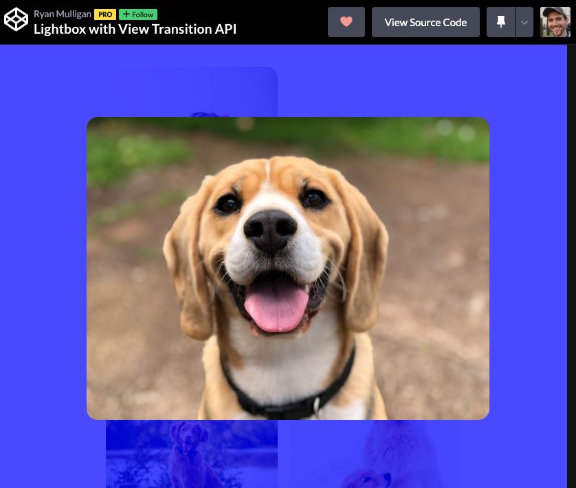 A screenshot of the demo showing the lightbox open. There's a small gap on the right side where there probably should be the blue background of the lightbox