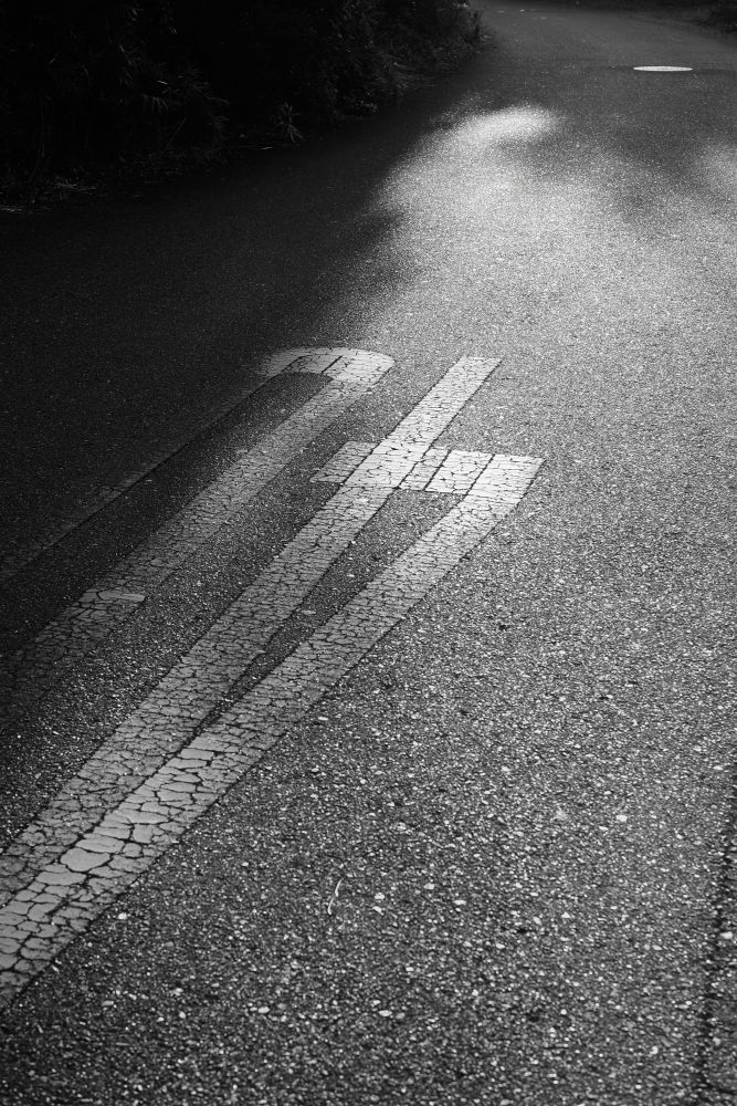 朝陽が差し込む道路の写真
