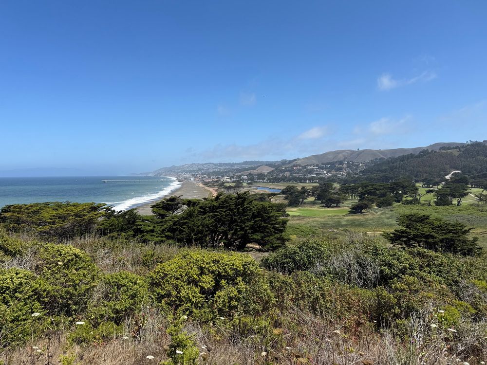views of sharp park beach & a golf course from mori point trail in pacifica, california. bright blue sky & few clouds. hills dotted with coyote brush & monterey cypress trees, wildflowers & dry grass