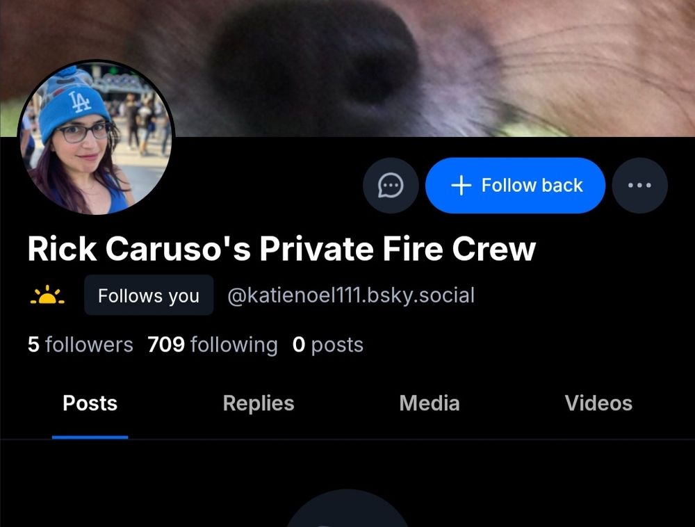 @katienoel111 dot Bsky dot social