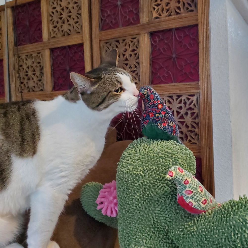 A white and tabby cat preparing to push a quilted bird off the top of a cactus shaped cat scratcher. He is extending his neck and giving the camera side eye, and his long whiskers are highlighted against the carved wooden panels in the background. 