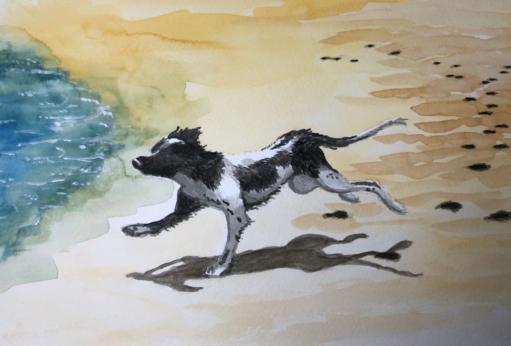 Painting of black and white dog running on the beach. Shadow on the sand beneath. 