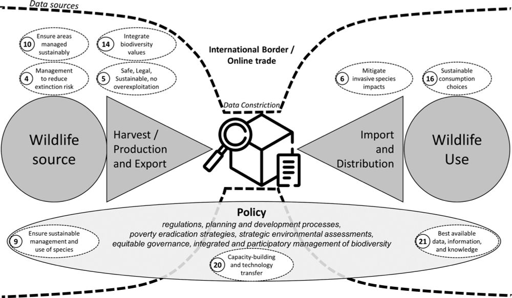 Species-level, digitized wildlife trade data are essential for achieving biodiversity targets | Proceedings of the National Academy of Sciences