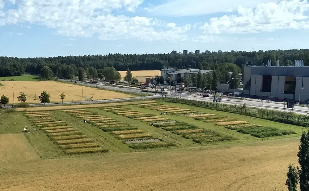 Aerial view on the 60 plots of the TWINWIN experiment surrounded by grass and agricultural fields. The plots vary in color that represent the different undersown treatments. In the background is a road, buildings and forests. The sky is blue with some white clouds.