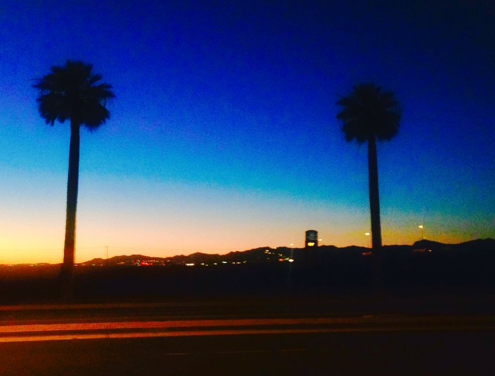 Zipping along the highway, the silhouettes of two palm trees against a darkening slay 