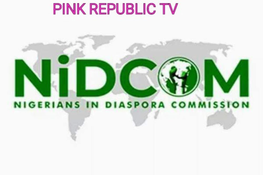 NIDCOM URGES NIGERIANS TO LEAVE LEBANON AMID ISRAELI ATTACKS. (PHOTO).