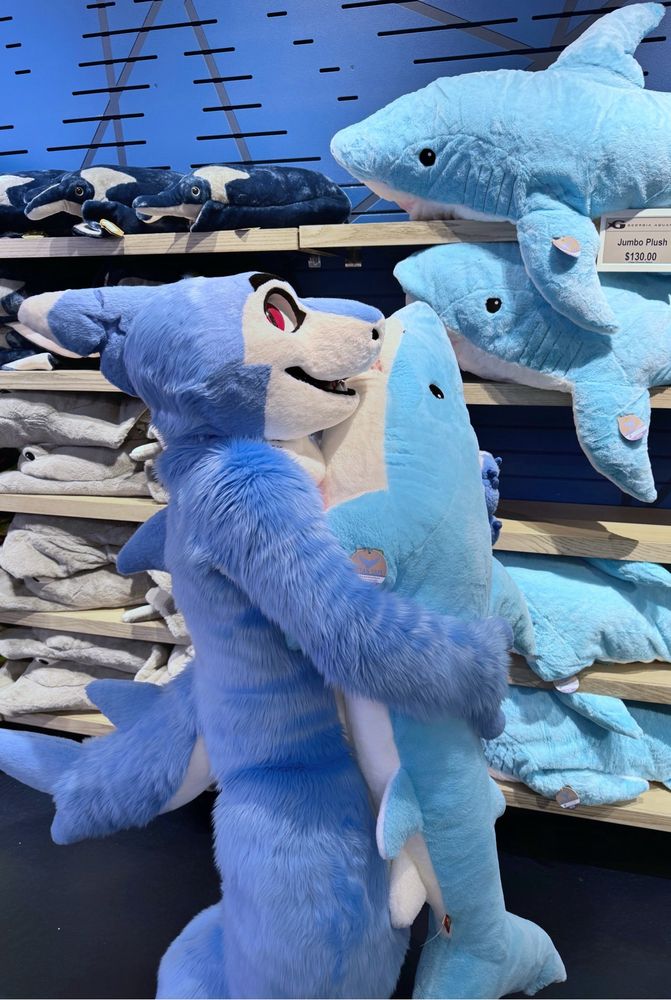 photo of a happy fuzzy blue shark fursuit hugging a jumbo shark plushie at an aquarium gift shop.