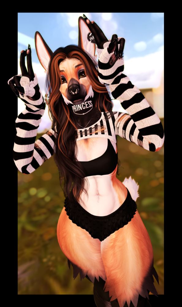 beartooth with paws up arms half raised looking at camera directly collar says princess on it. with striped longsleeve crop top, black bra top and black ruffled short shorts. They have septum ring on nose and hair is black and orange and body is orange and white.