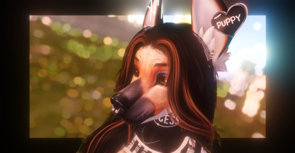 beartooth staring into distance. maybe thinking about bacon. collar says princess on it, with striped longsleeve crop top, black bra top and black ruffled short shorts. They have septum ring on nose and hair is black and orange and body is orange and white.
