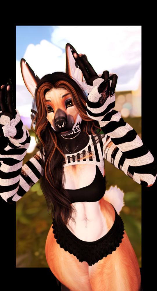 beartooth with paws up arms half raised looking at camera directly collar says princess on it. with striped longsleeve crop top, black bra top and black ruffled short shorts. They have septum ring on nose and hair is black and orange and body is orange and white.