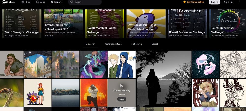 screenshot of homepage of cara