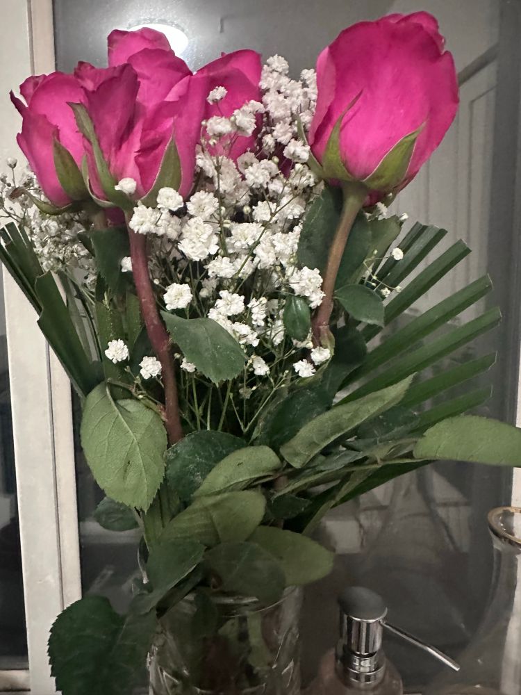 Pink roses and baby’s breath in a vase in front of a window