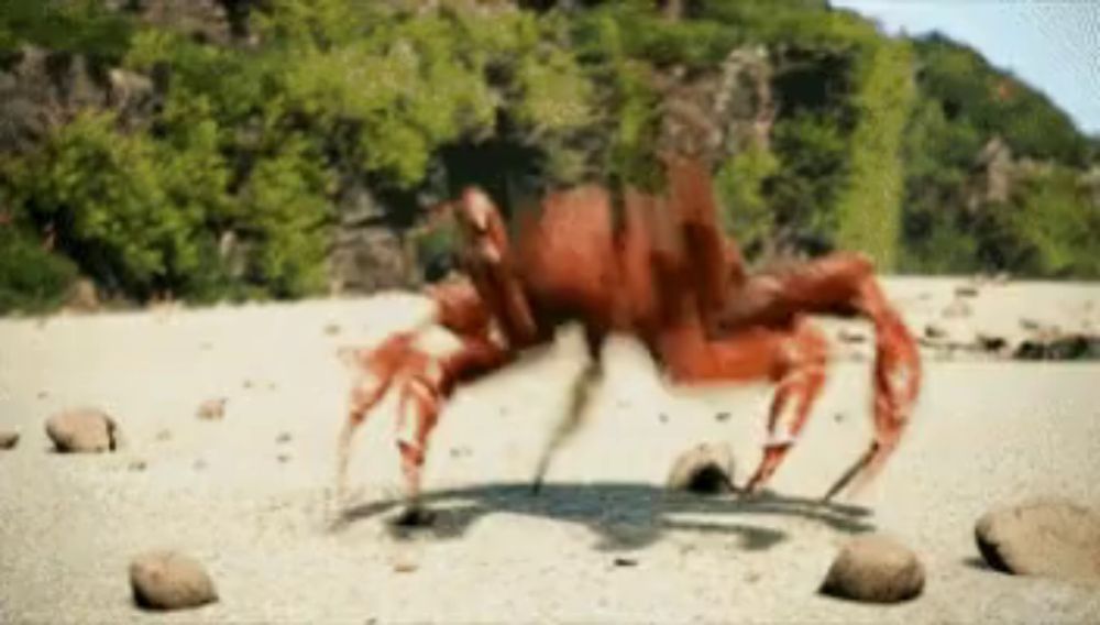 a crab is crawling on a sandy beach with trees in the background